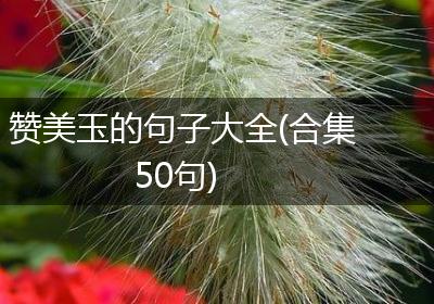 赞美玉的句子大全(合集50句)