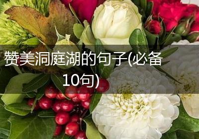 赞美洞庭湖的句子(必备10句)