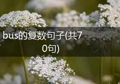 bus的复数句子(共70句)