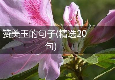 赞美玉的句子(精选20句)