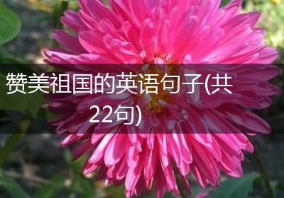 赞美祖国的英语句子(共22句)
