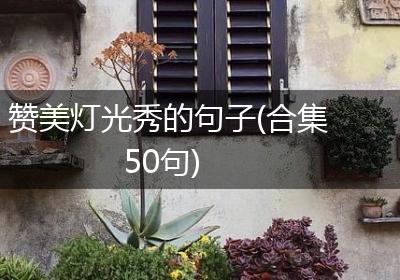 赞美灯光秀的句子(合集50句)