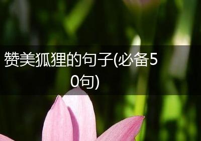 赞美狐狸的句子(必备50句)