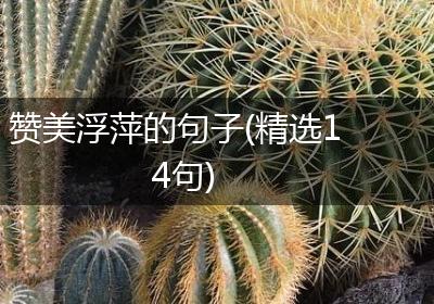 赞美浮萍的句子(精选14句)