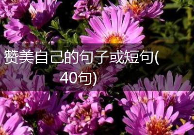 赞美自己的句子或短句(40句)