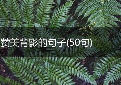 赞美背影的句子(50句)