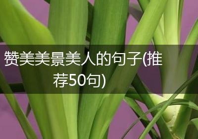 赞美美景美人的句子(推荐50句)