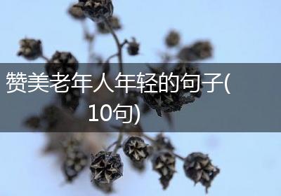 赞美老年人年轻的句子(10句)
