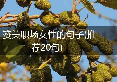 赞美职场女性的句子(推荐20句)