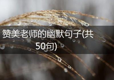 赞美老师的幽默句子(共50句)