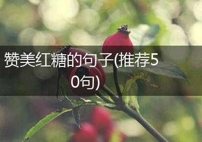赞美红糖的句子(推荐50句)