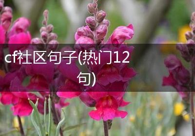 cf社区句子(热门12句)
