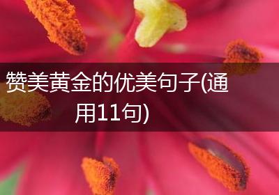 赞美黄金的优美句子(通用11句)