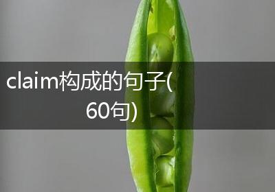 claim构成的句子(60句)