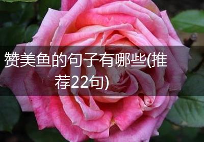 赞美鱼的句子有哪些(推荐22句)