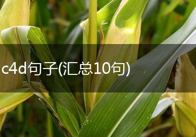 c4d句子(汇总10句)