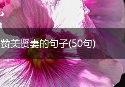 赞美贤妻的句子(50句)
