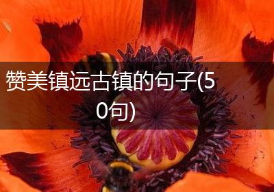 赞美镇远古镇的句子(50句)