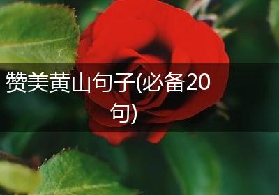 赞美黄山句子(必备20句)