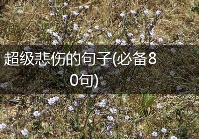 超级悲伤的句子(必备80句)