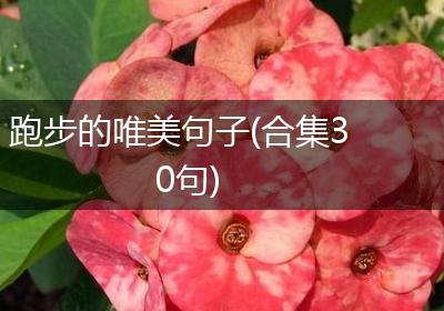 跑步的唯美句子(合集30句)