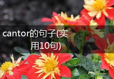 cantor的句子(实用10句)