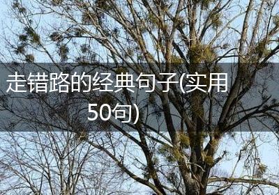 走错路的经典句子(实用50句)