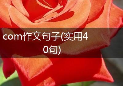 com作文句子(实用40句)