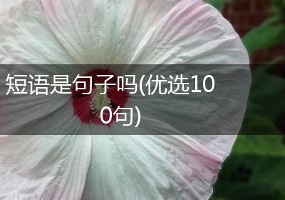短语是句子吗(优选100句)