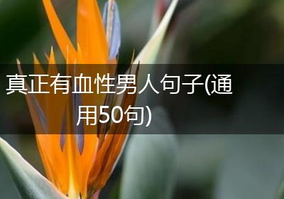 真正有血性男人句子(通用50句)
