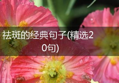 祛斑的经典句子(精选20句)