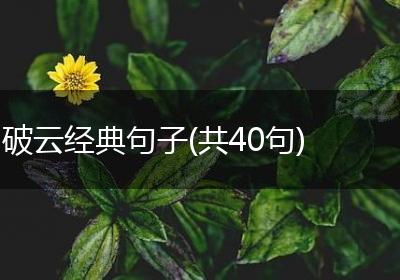 破云经典句子(共40句)