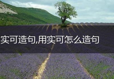 实可造句,用实可怎么造句