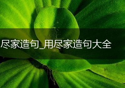 尽家造句_用尽家造句大全