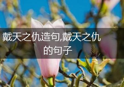 戴天之仇造句,戴天之仇的句子