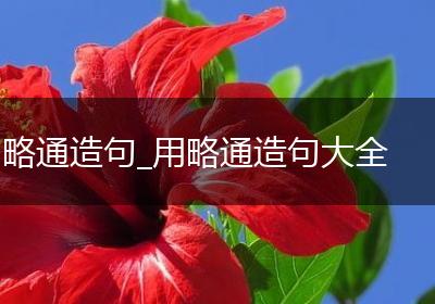 略通造句_用略通造句大全