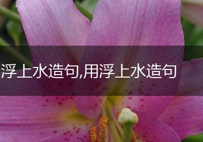 浮上水造句,用浮上水造句