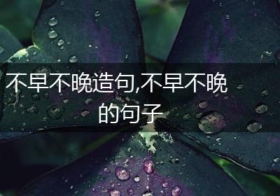 不早不晚造句,不早不晚的句子