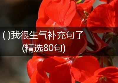 ( )我很生气补充句子(精选80句)