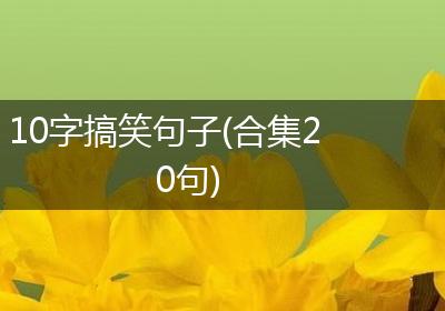 10字搞笑句子(合集20句)