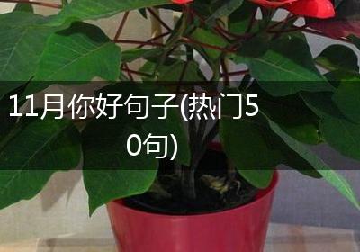 11月你好句子(热门50句)