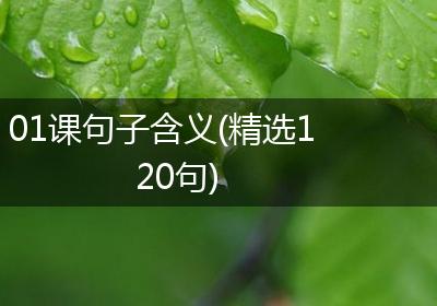 01课句子含义(精选120句)