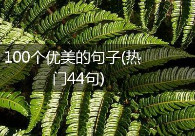 100个优美的句子(热门44句)