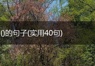 ()的句子(实用40句)