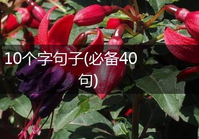 10个字句子(必备40句)