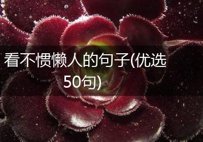 看不惯懒人的句子(优选50句)