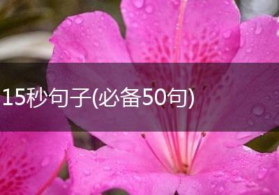 15秒句子(必备50句)
