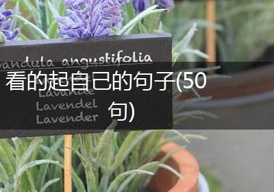 看的起自己的句子(50句)