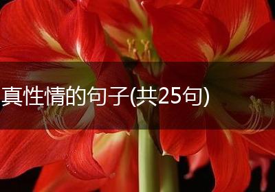 真性情的句子(共25句)