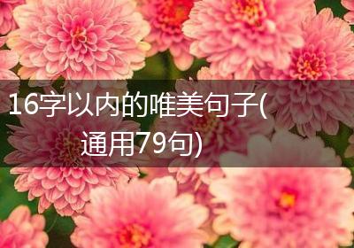 16字以内的唯美句子(通用79句)